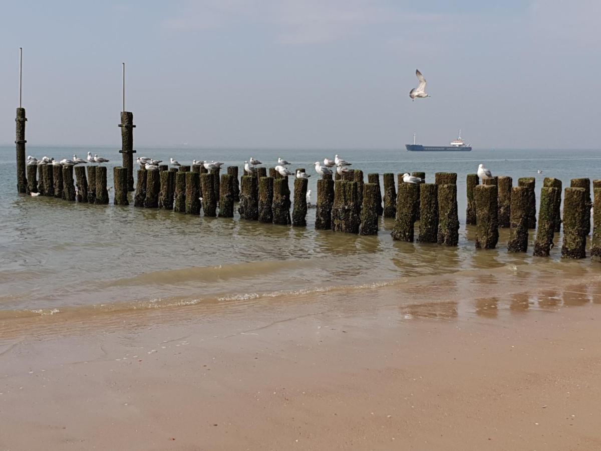 Appartement Havenzicht, Gelegen Aan Zee Met Zeezicht Βλισίνγκεν Εξωτερικό φωτογραφία